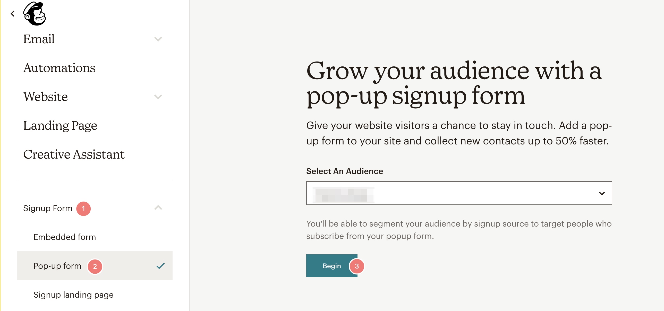 select audience popup form