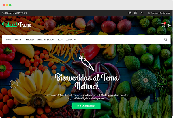 Plantilla de la Tienda Online